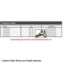 Reduzierventil IASV - 204 1/4"ODSx1/4"SAE, SCHNEIDER