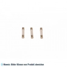 Sicherung Mikrowelle 20 A (6,3x32 mm)