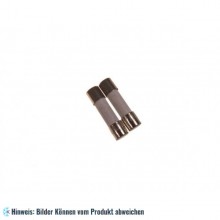 Sicherung Mikrowelle 12,5 A (5 x 20 mm)